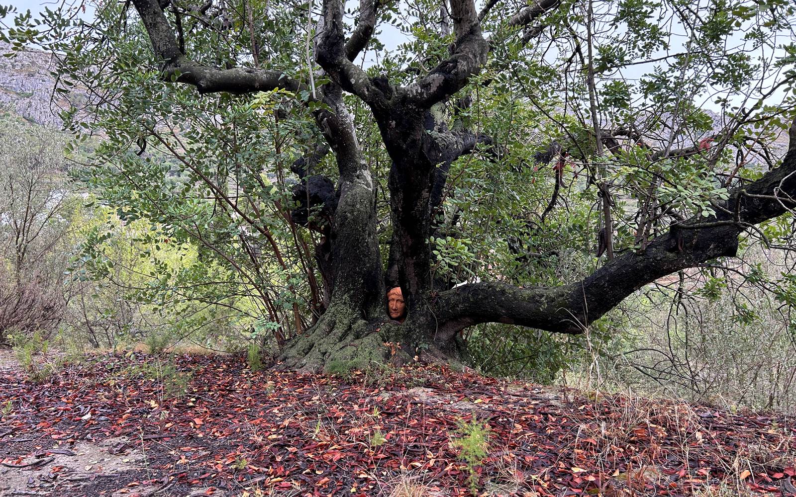 La Cabeza Atrapa