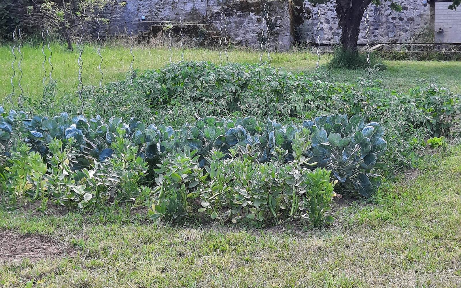 Le potager