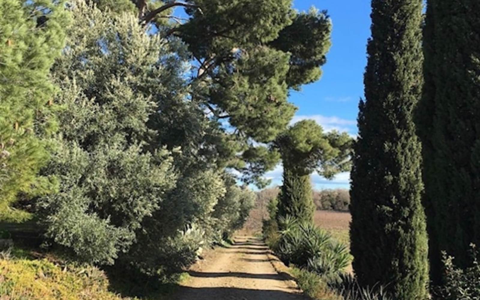 gîte à la campagne