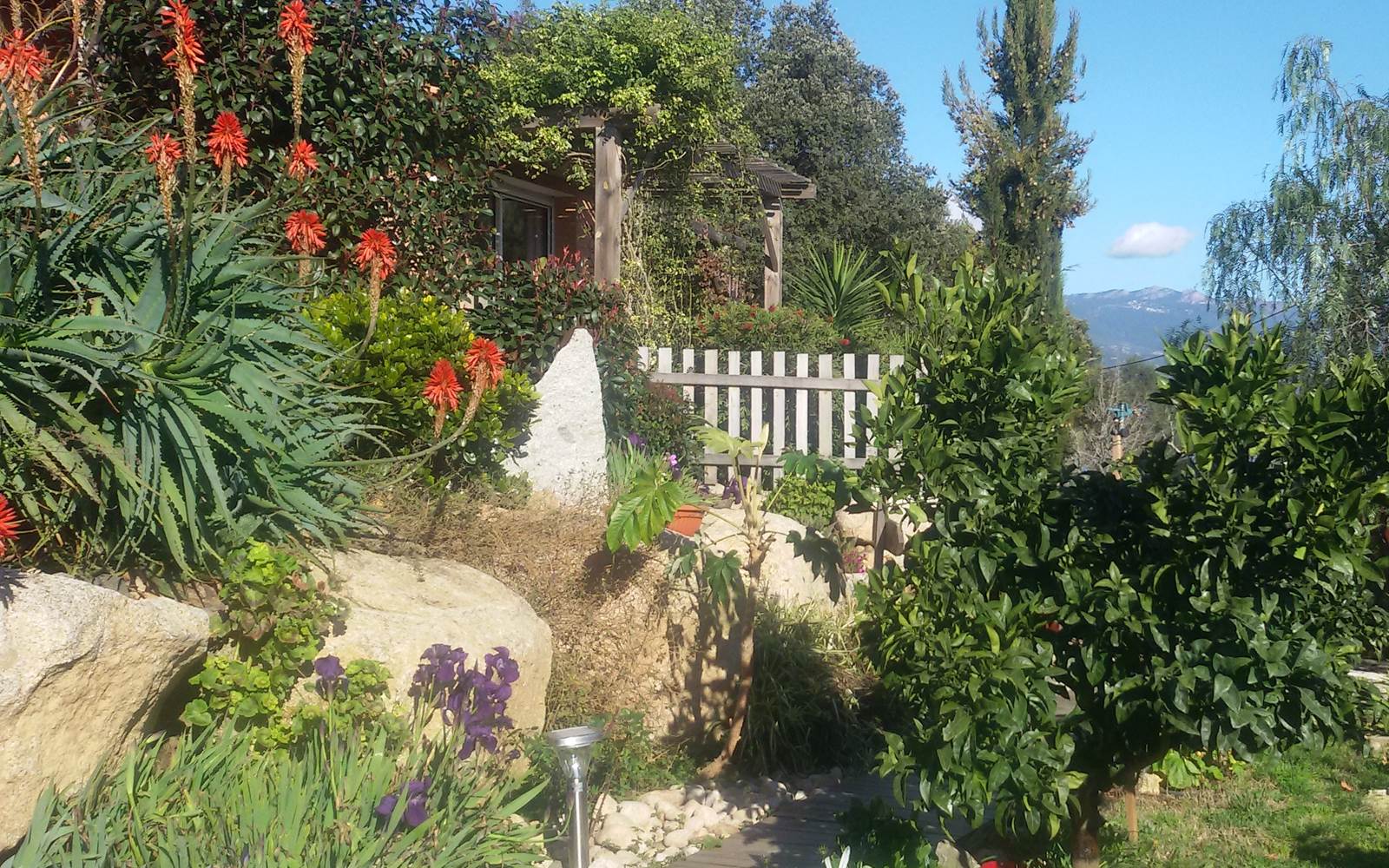 Le jardin de "LA ESCALA"