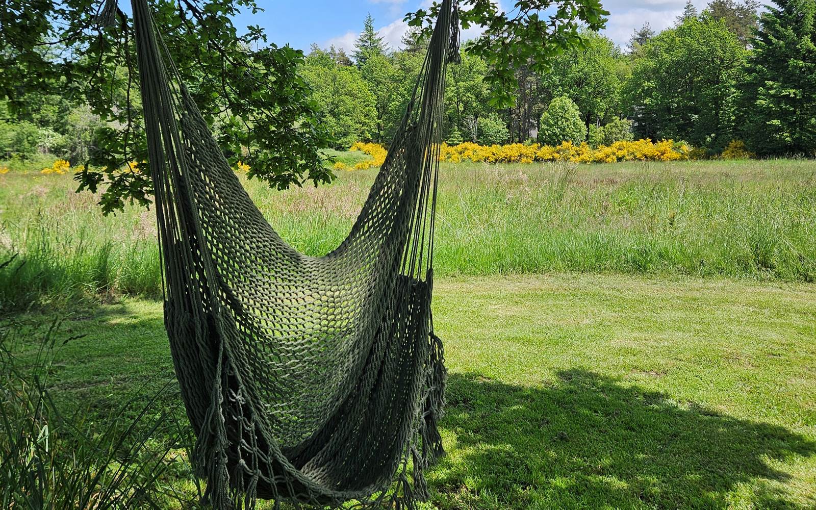 Le Ranch Camping - Hammock