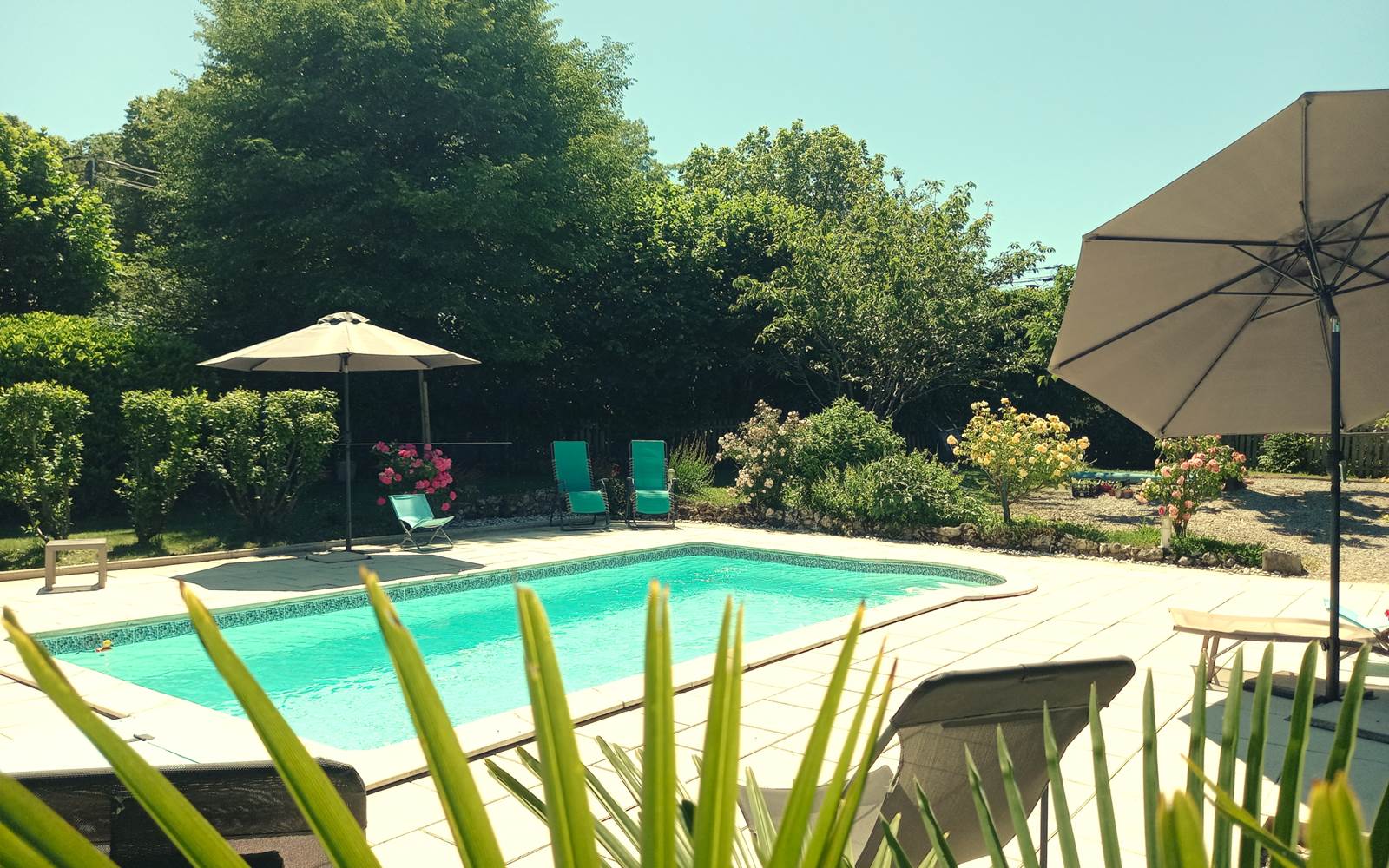 Piscine extérieure