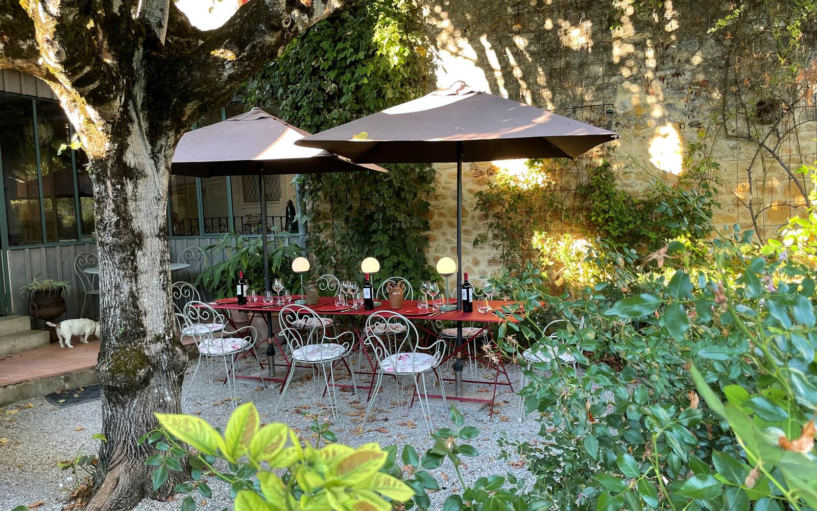 terrasse-tilleul-gite-domme