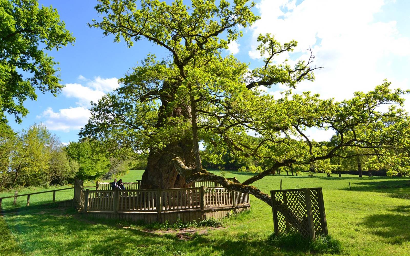 AR-LITORIENN-Chambre-d'Hôte-à-Paimpont