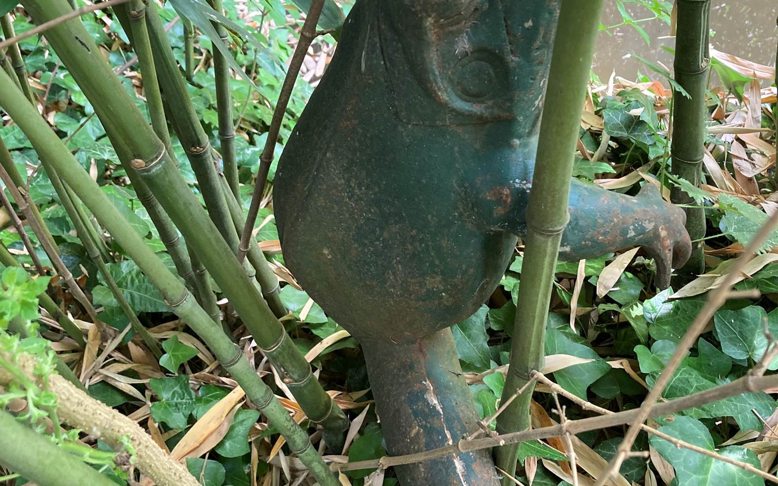 Trouver la grenouille !!!