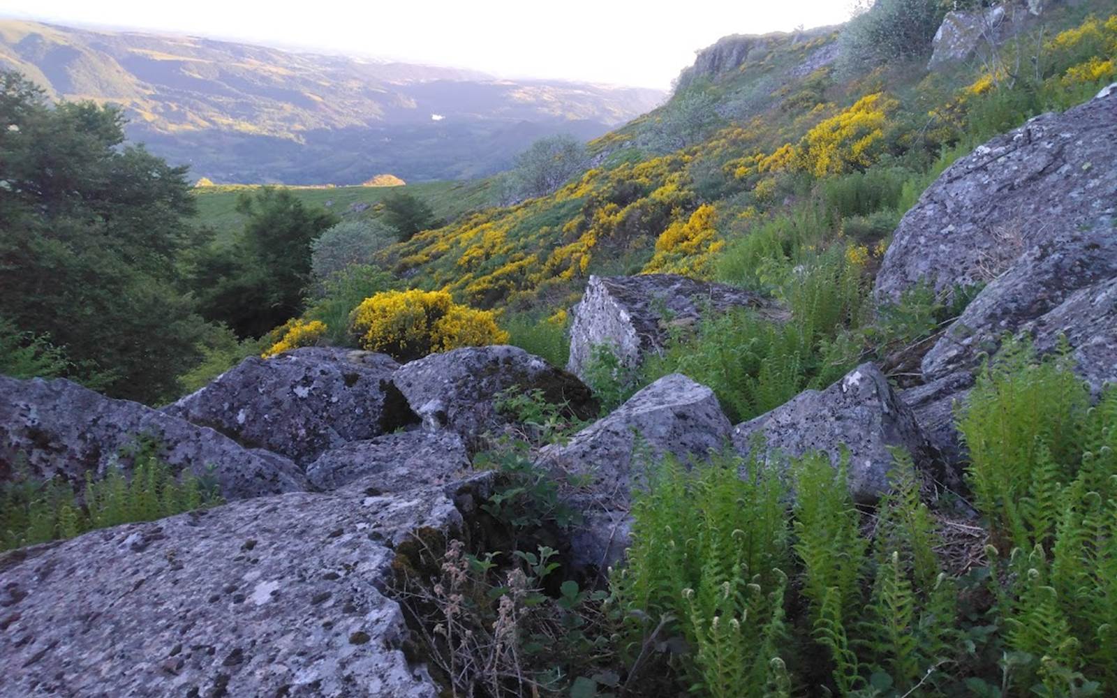 Paysage vu d'un sentier