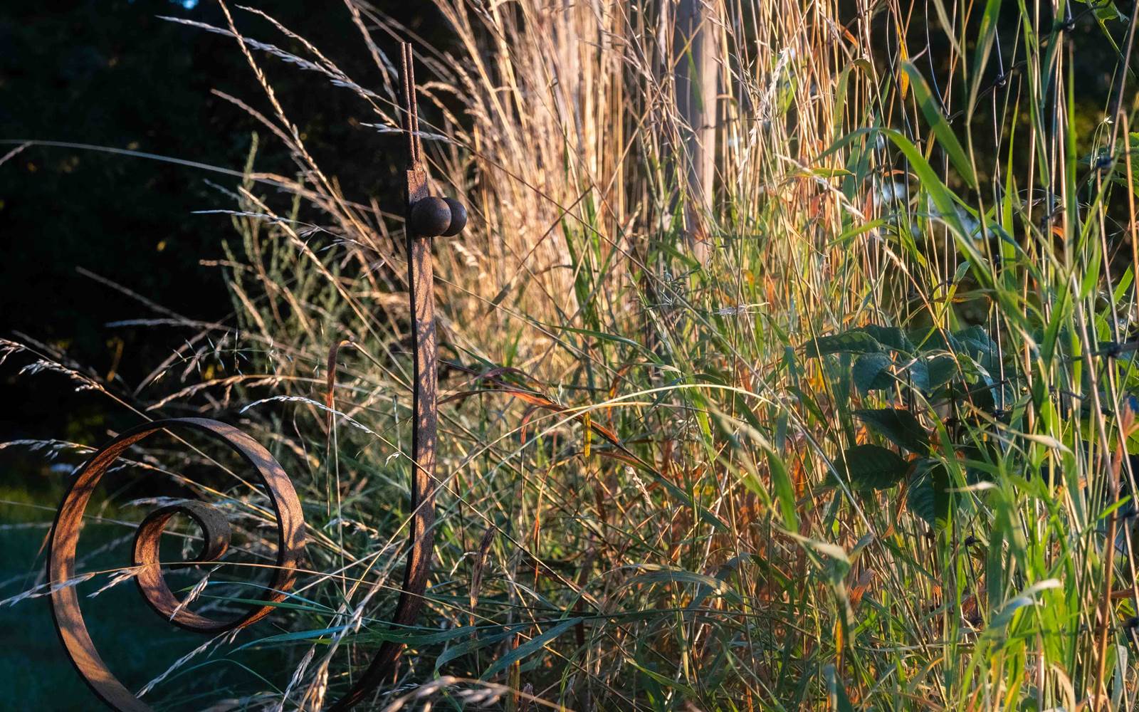 10 Escargot.- MSA_0674_