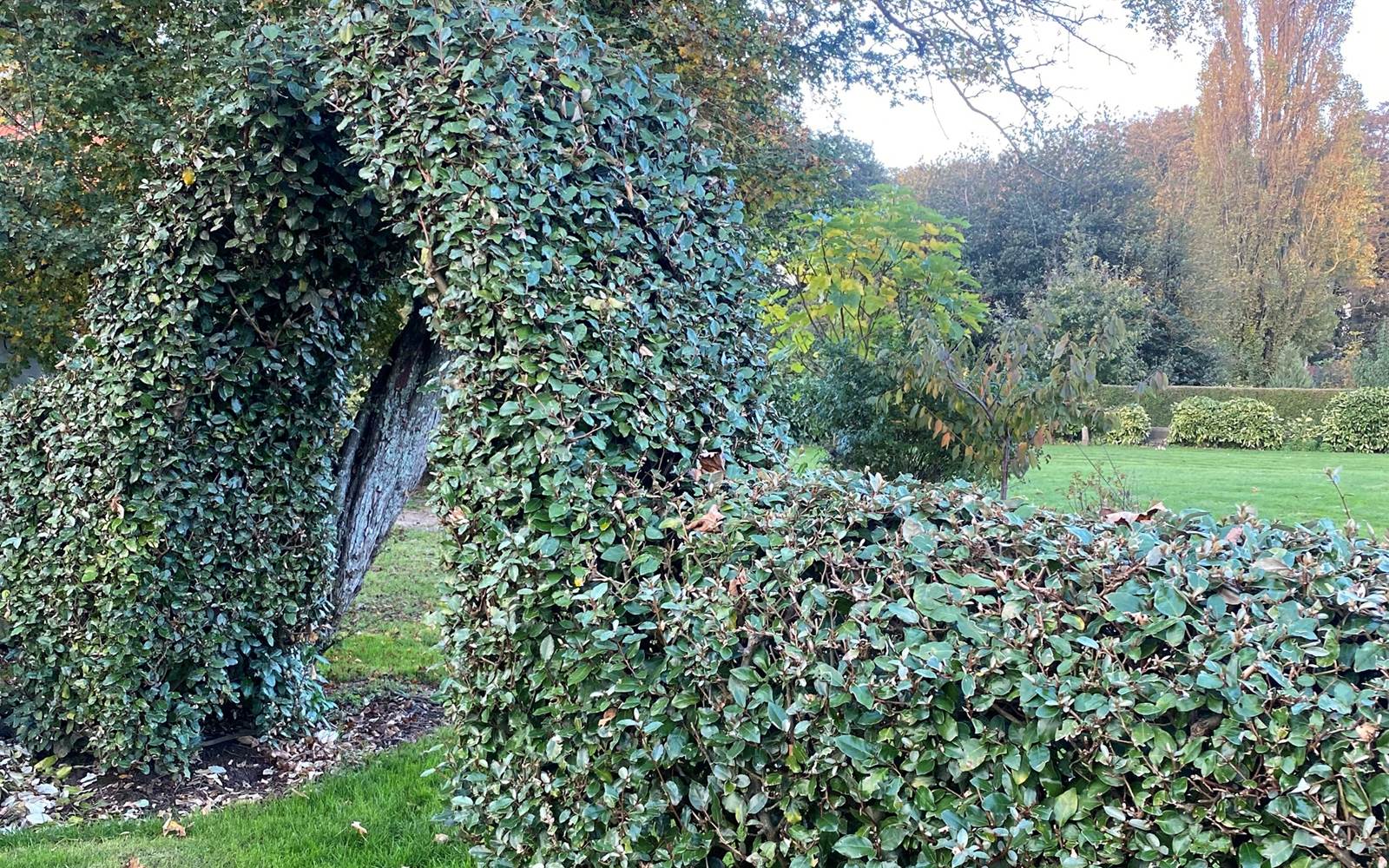 La Bercerie Jardin