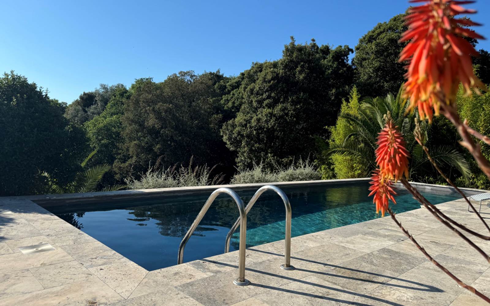 La piscine juin 2024