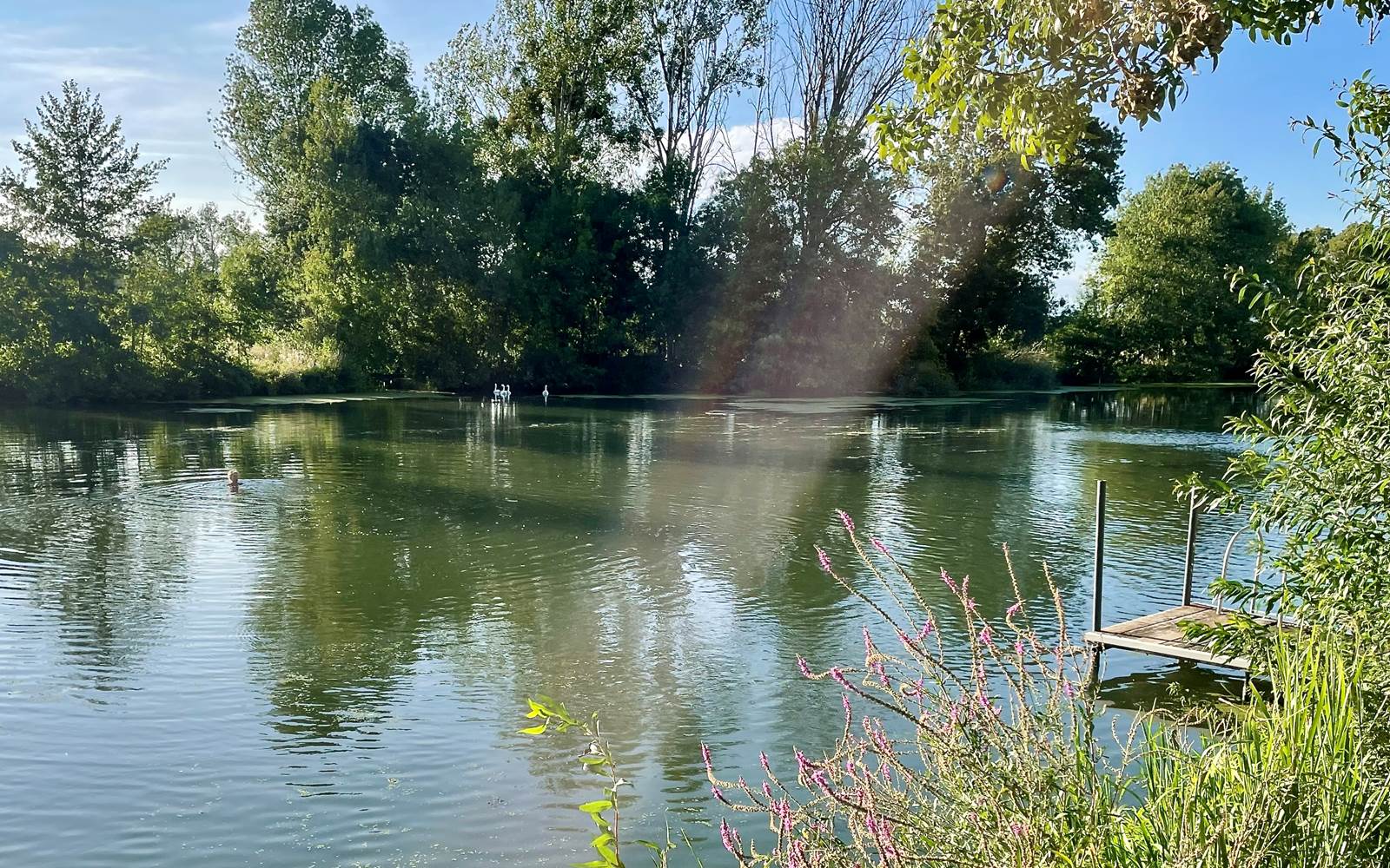 Gite de charme Maine et Loir