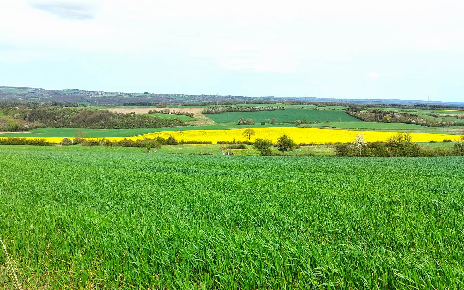 Paysage