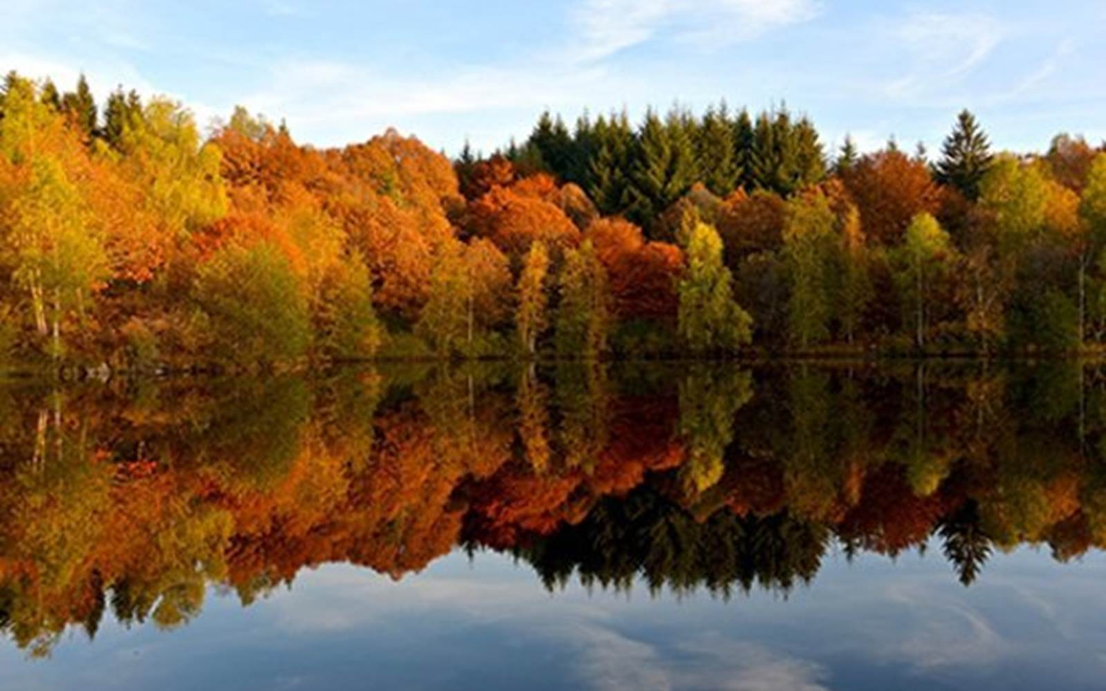 automne