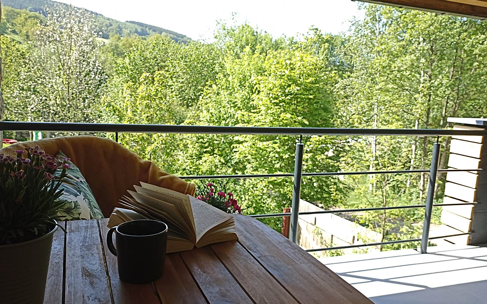 Vue de la terrasse sur le jardin