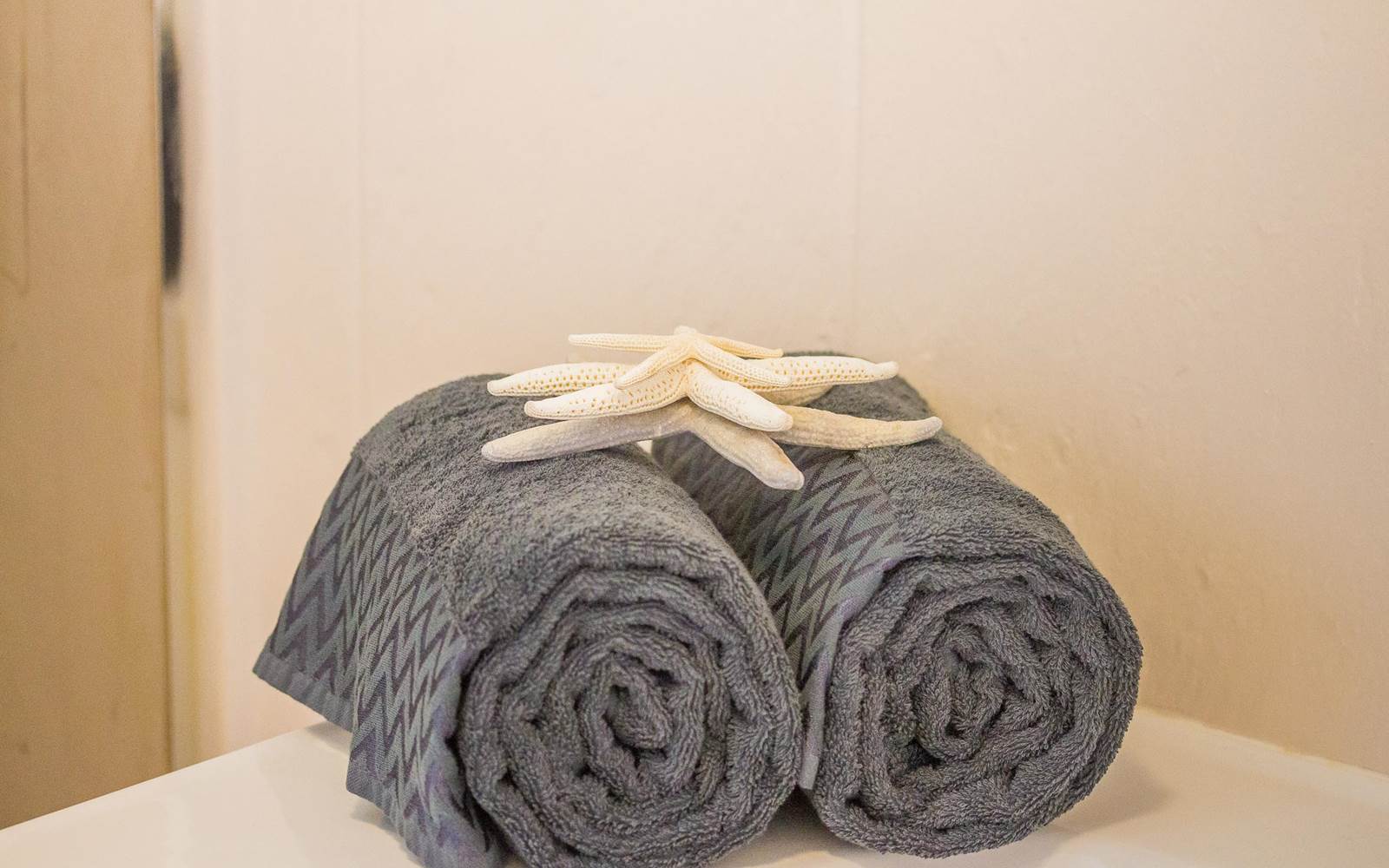 drap de bain et essuie de plage fournis