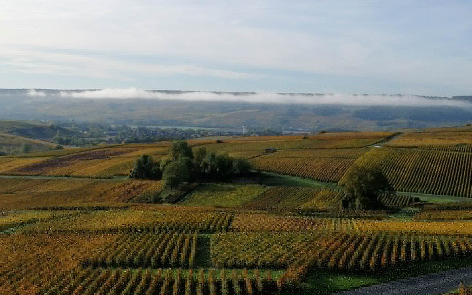 Vue automnale au champagne ARNOULT