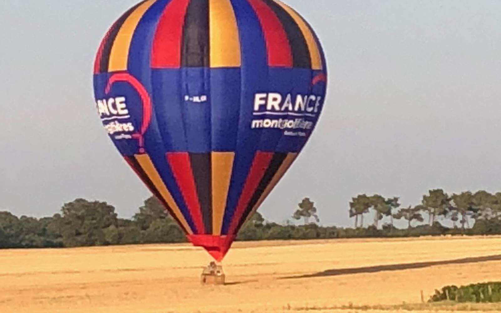 Dans le champ à coté
