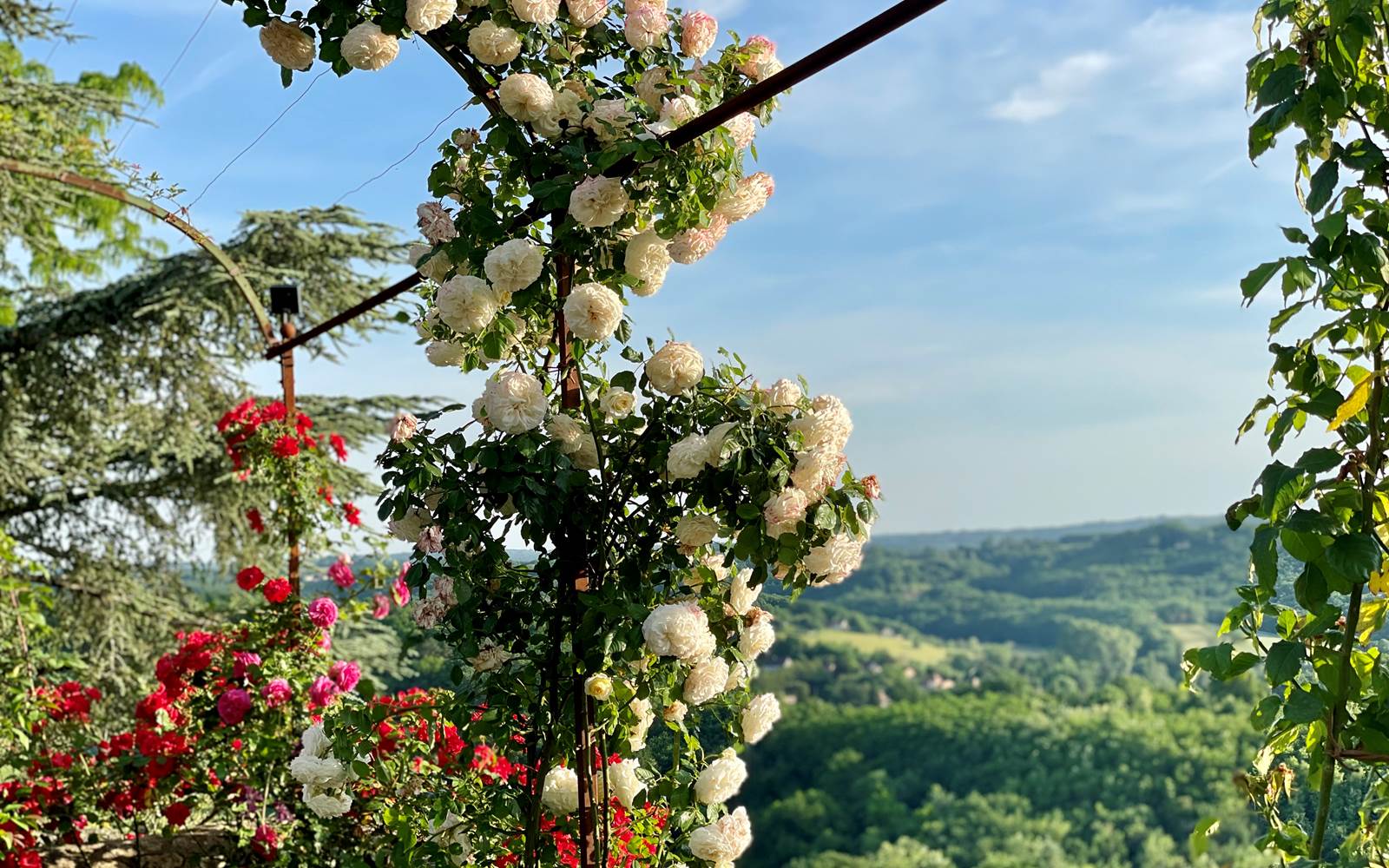 jardin-fleuri-gite-domme-vue-dordogne