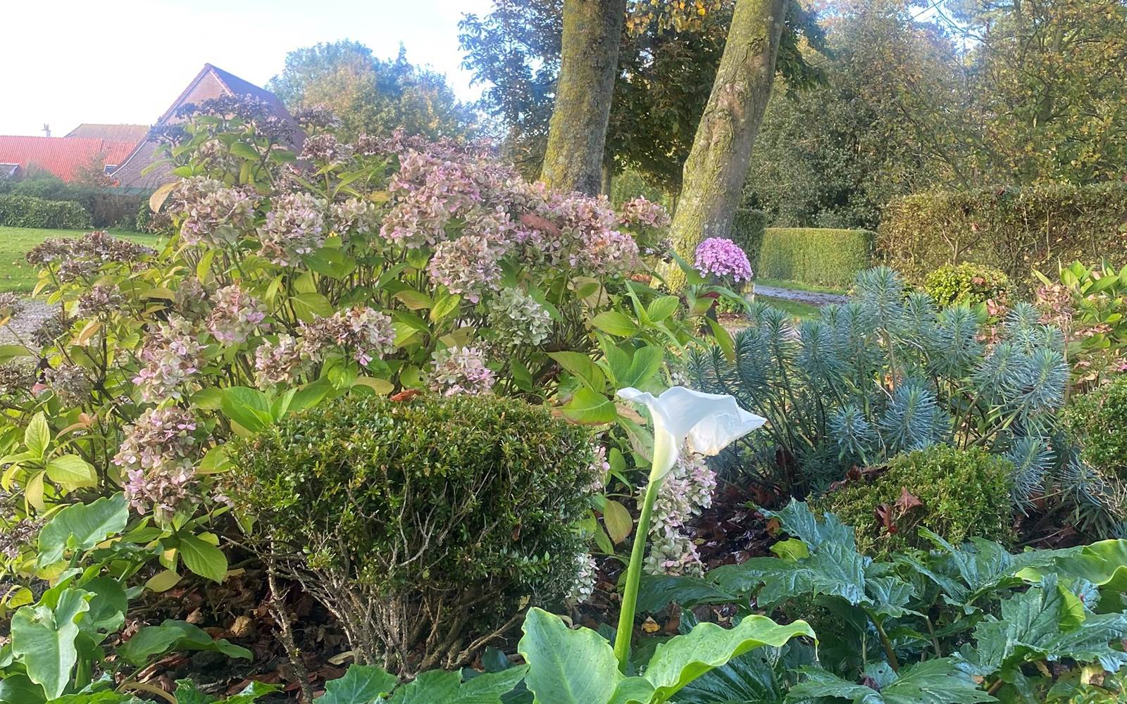 La Bercerie fleurie