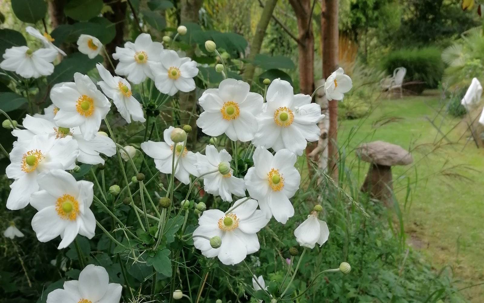 Jardin à  La Malposte à Reviers
