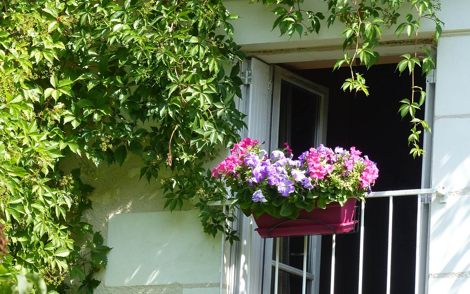 Balcon fleuri