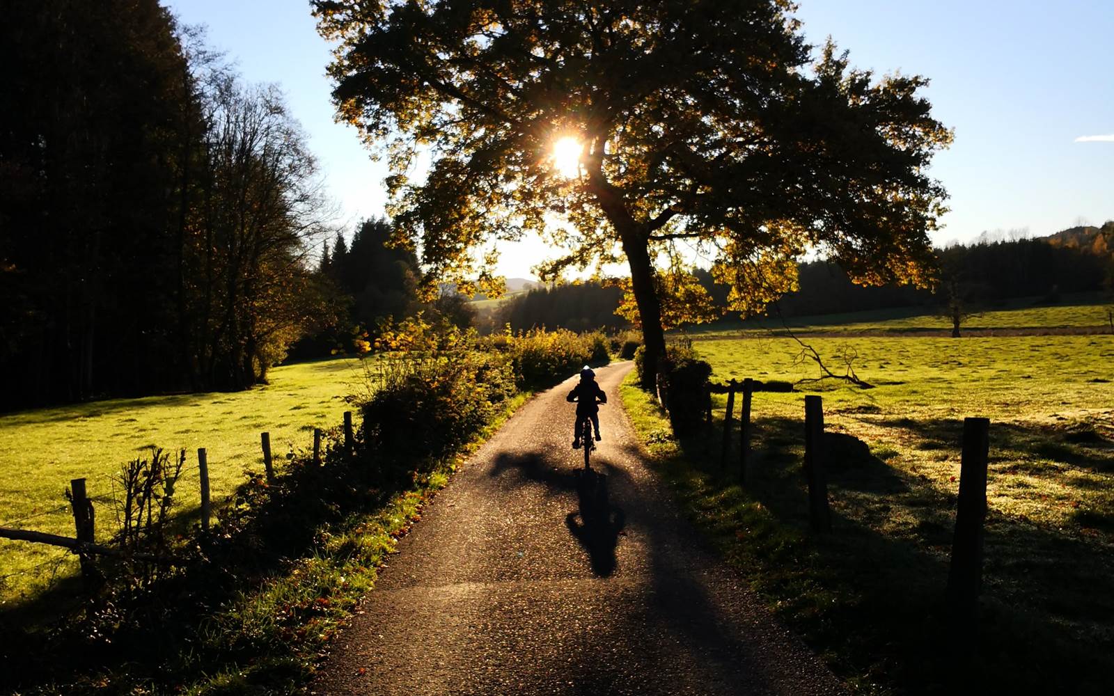 Chemin de promenade le long du Roannay