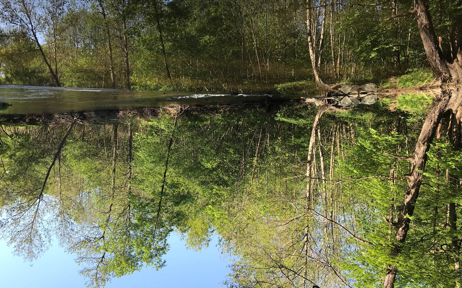 Nos  alentours, les rives du Lignon