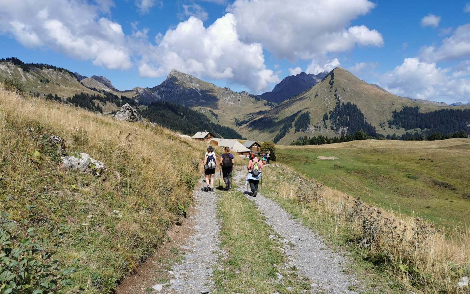 6 belles randonnées douces en montagne sont au programme de votre stage, bain de forêts, bain de nature.
