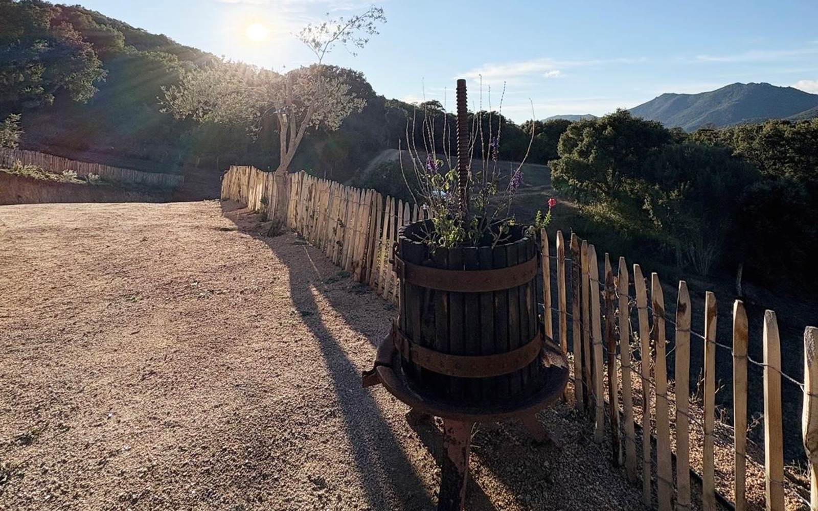 687d1875-2fbd-47a6-8b50-164c29645650