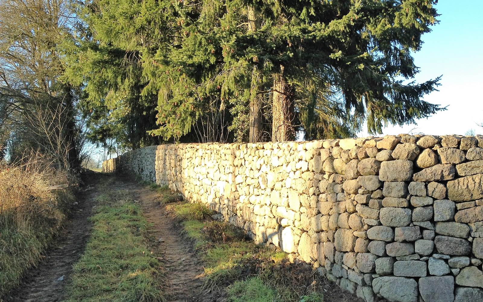 le mur d'enceinte du Domaine de Louveraude