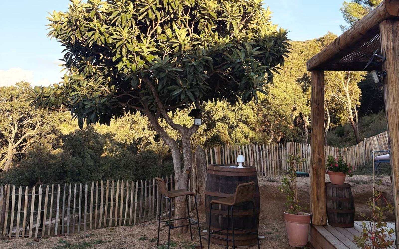 f745a5e3-7d72-4b45-bb31-afd150bcfcb6