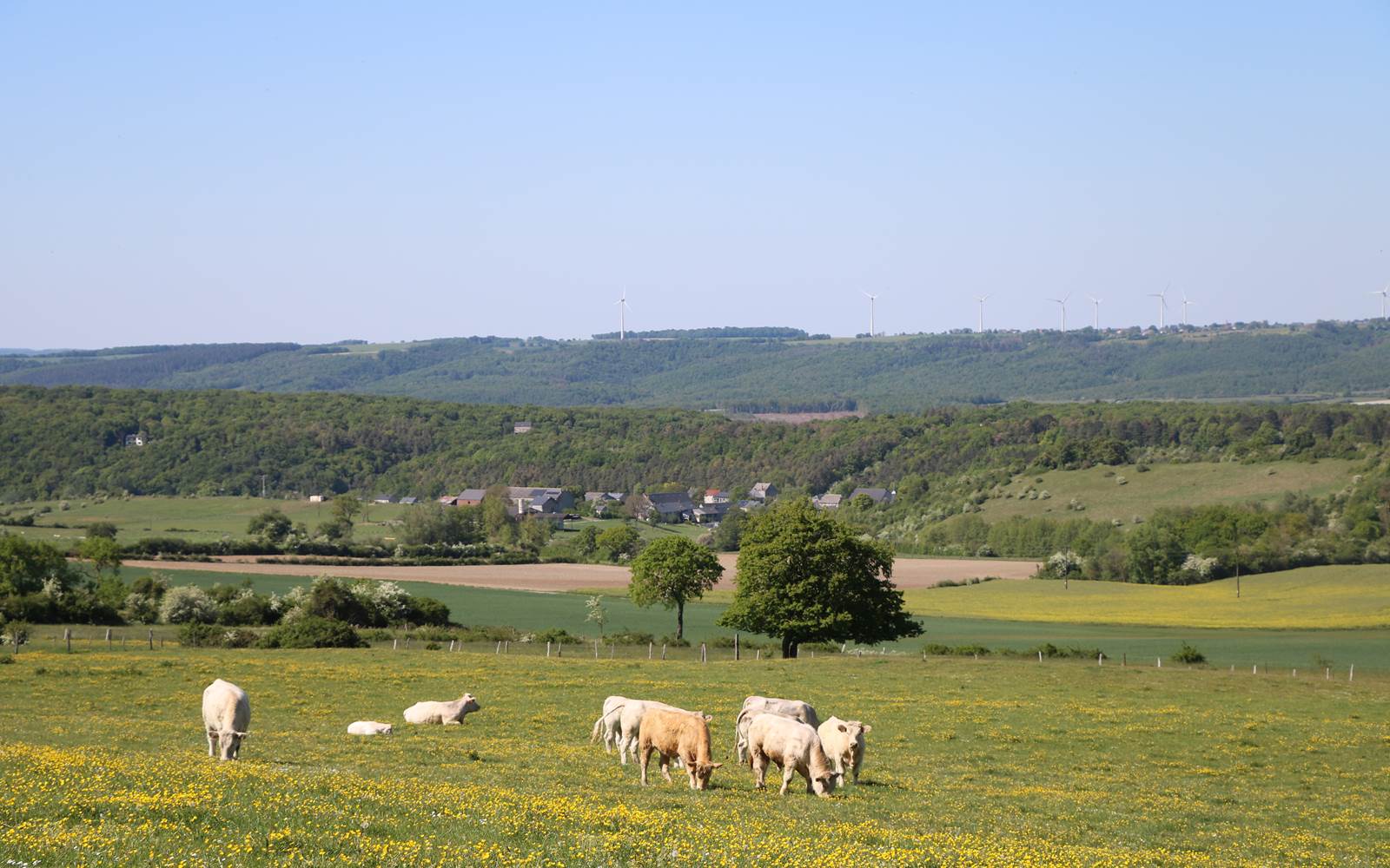 Pondrôme