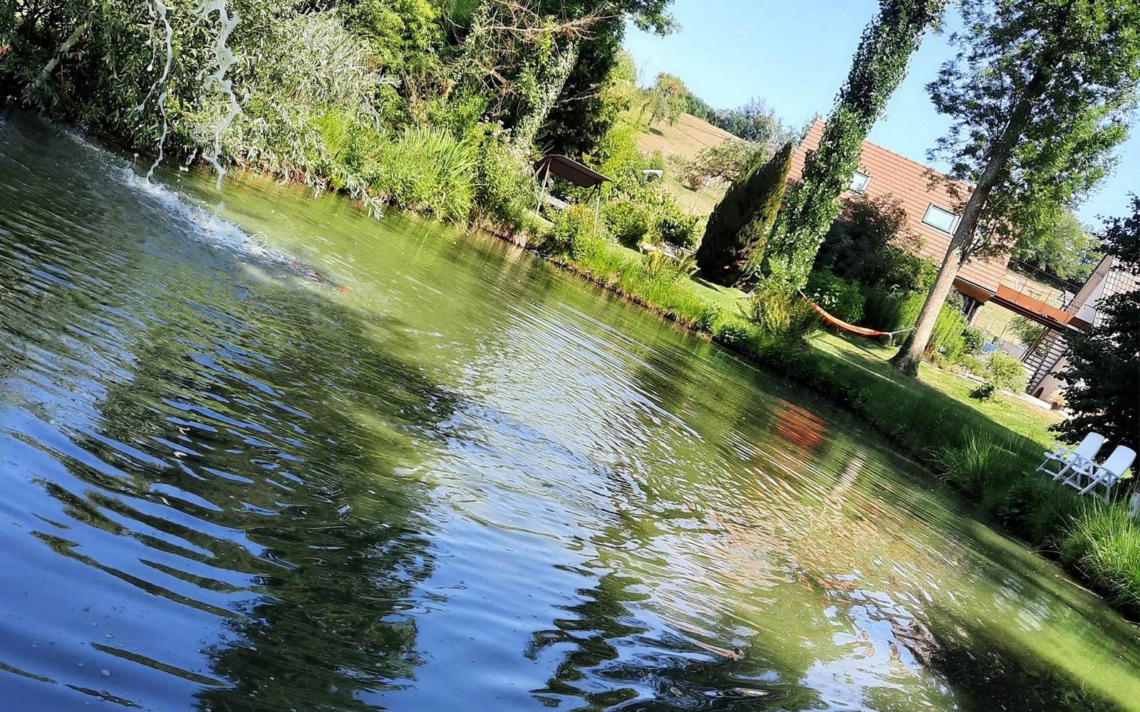 vu du bassin