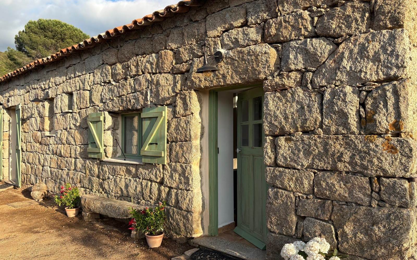 1f318866-a97b-4a00-90e5-6e26c1eb0791