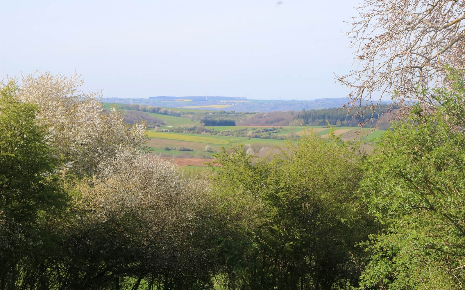 Froidfontaine
