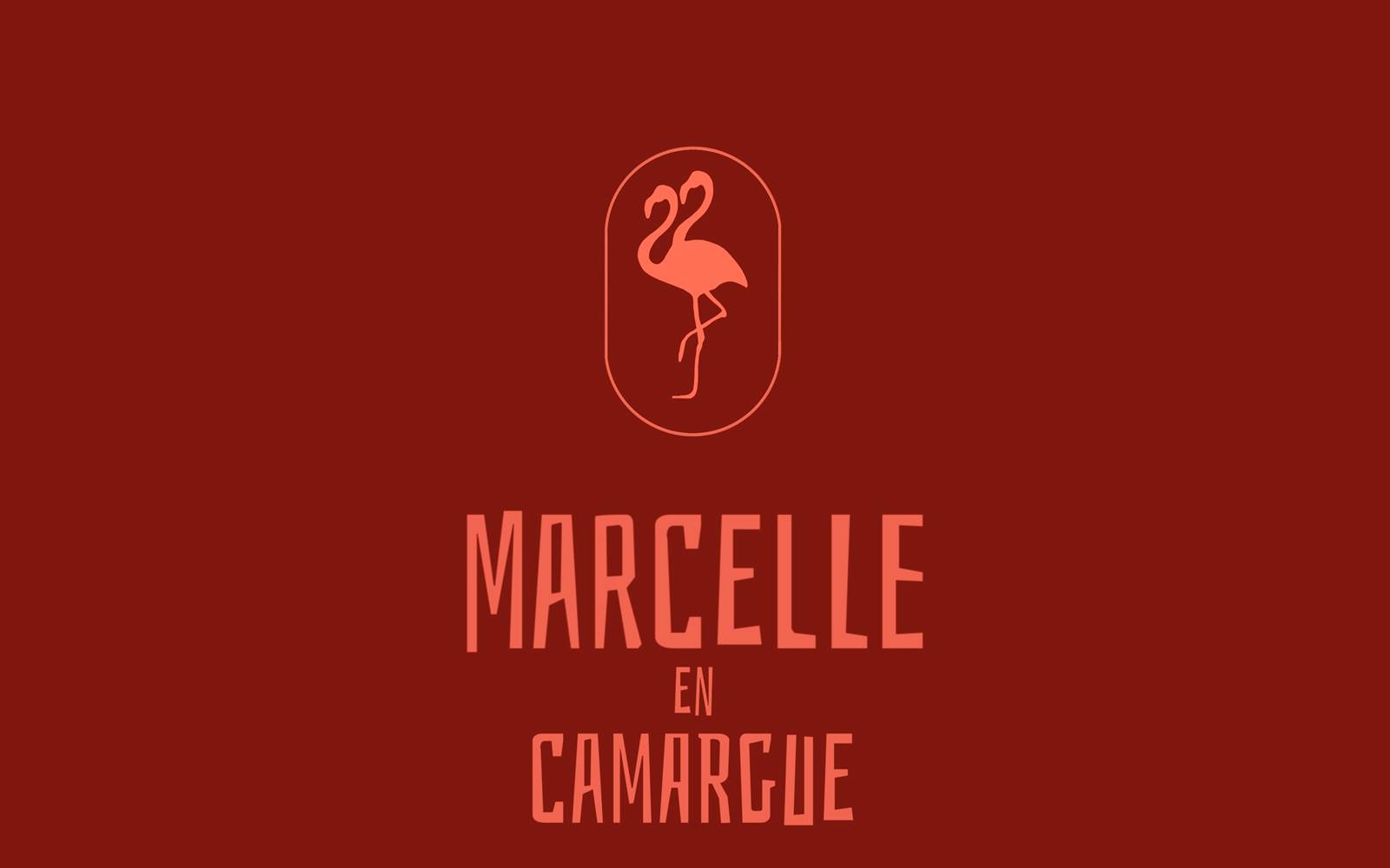 Marcelle en Camargue Maison d'hôtes au coeur des remparts