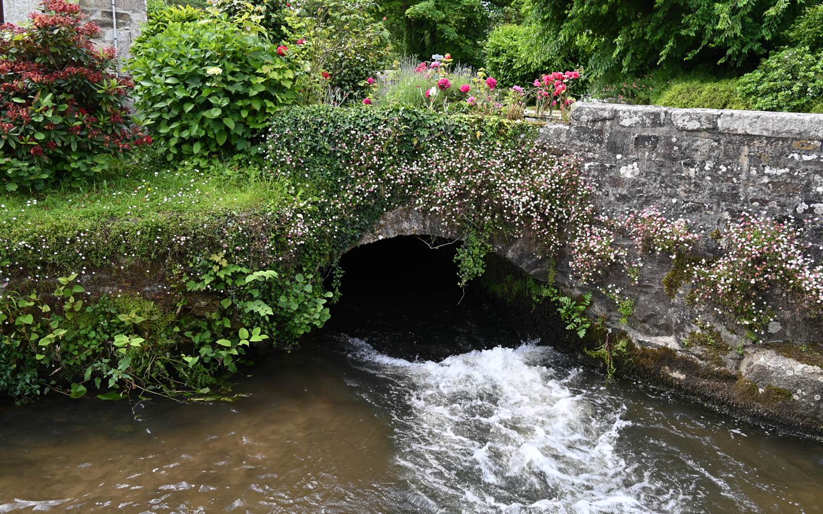 aufildeleau-cotentin-bnb-chambre-hote-le Vast