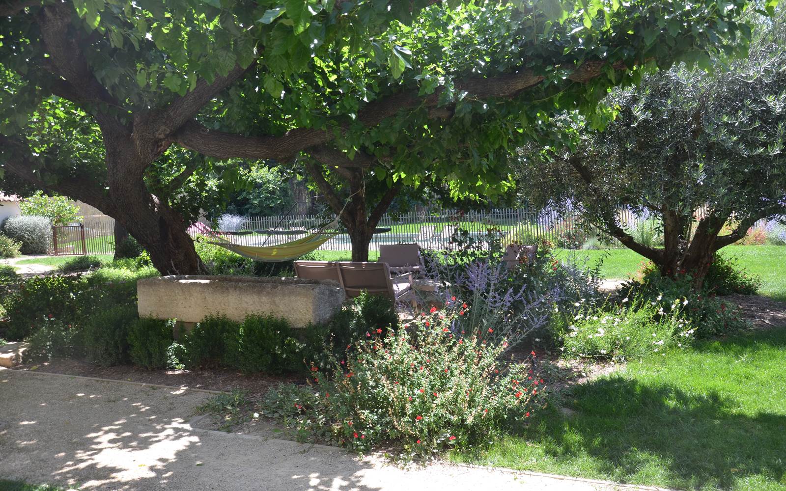 DSC_6564