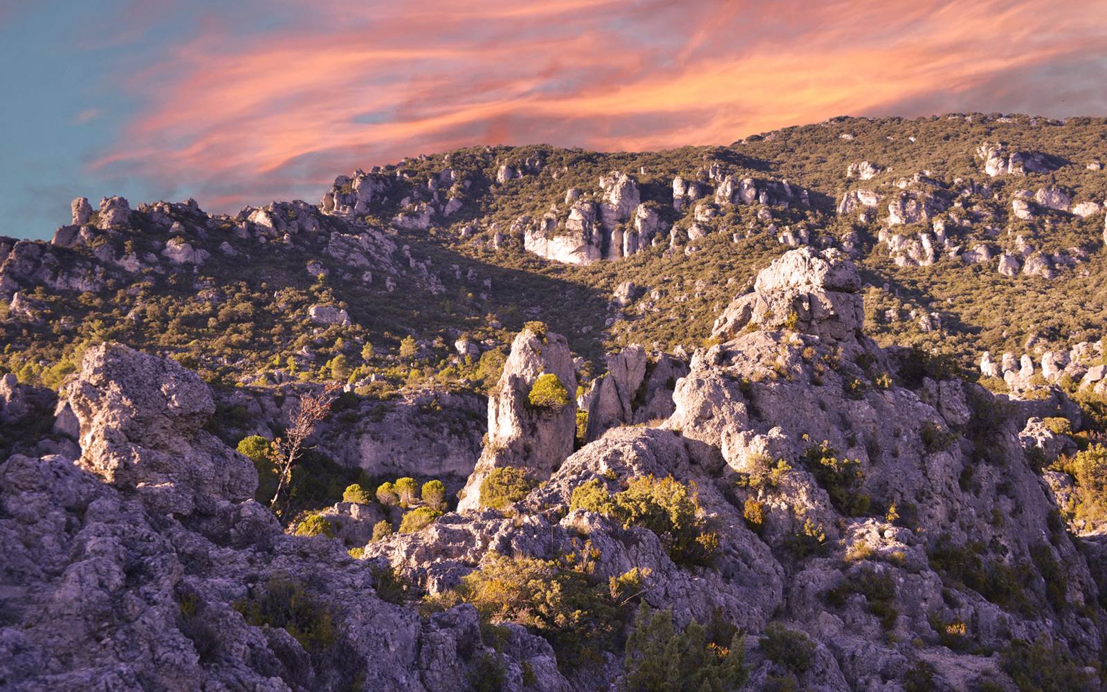 Le-rossignol-des-murailles-cirque-de-moureze