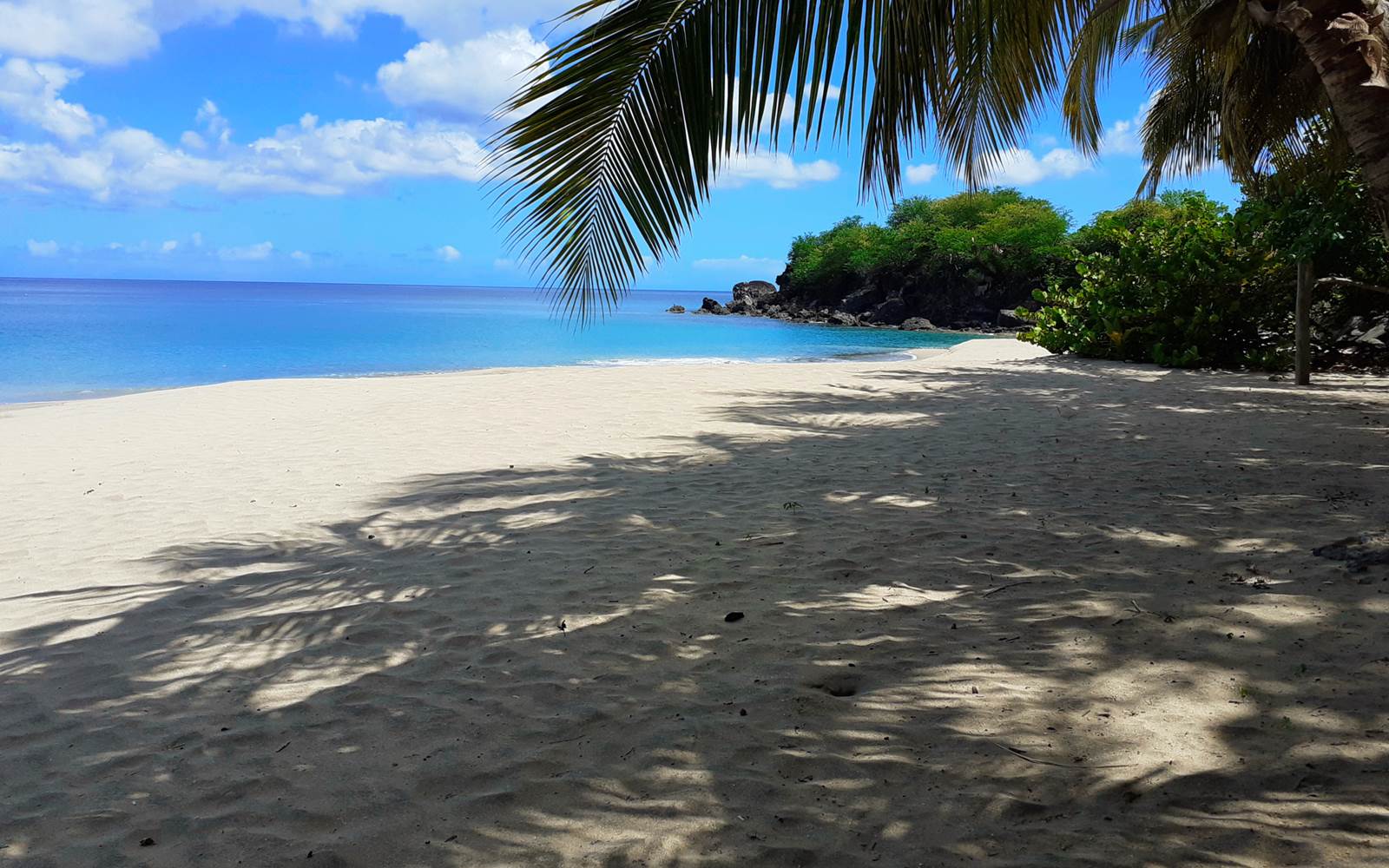 "Nous avons découvert avec délice la petite plage Leroux." - "We discovered with delight the small beach Leroux.” - "Descubrimos con delicia la pequeña playa Leroux."