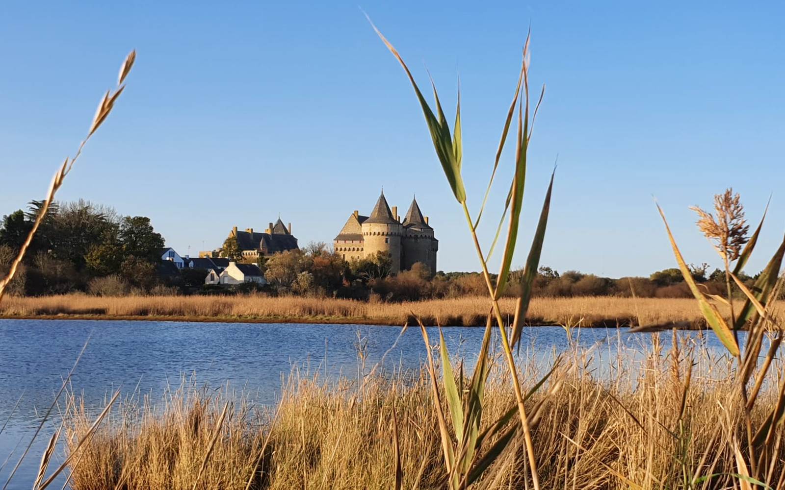 Chateau-Suscinio -Sarzeau