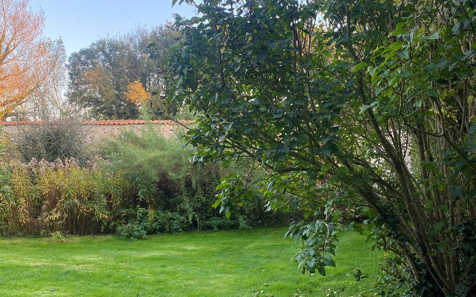 Vue de la chbre La Rêveuse