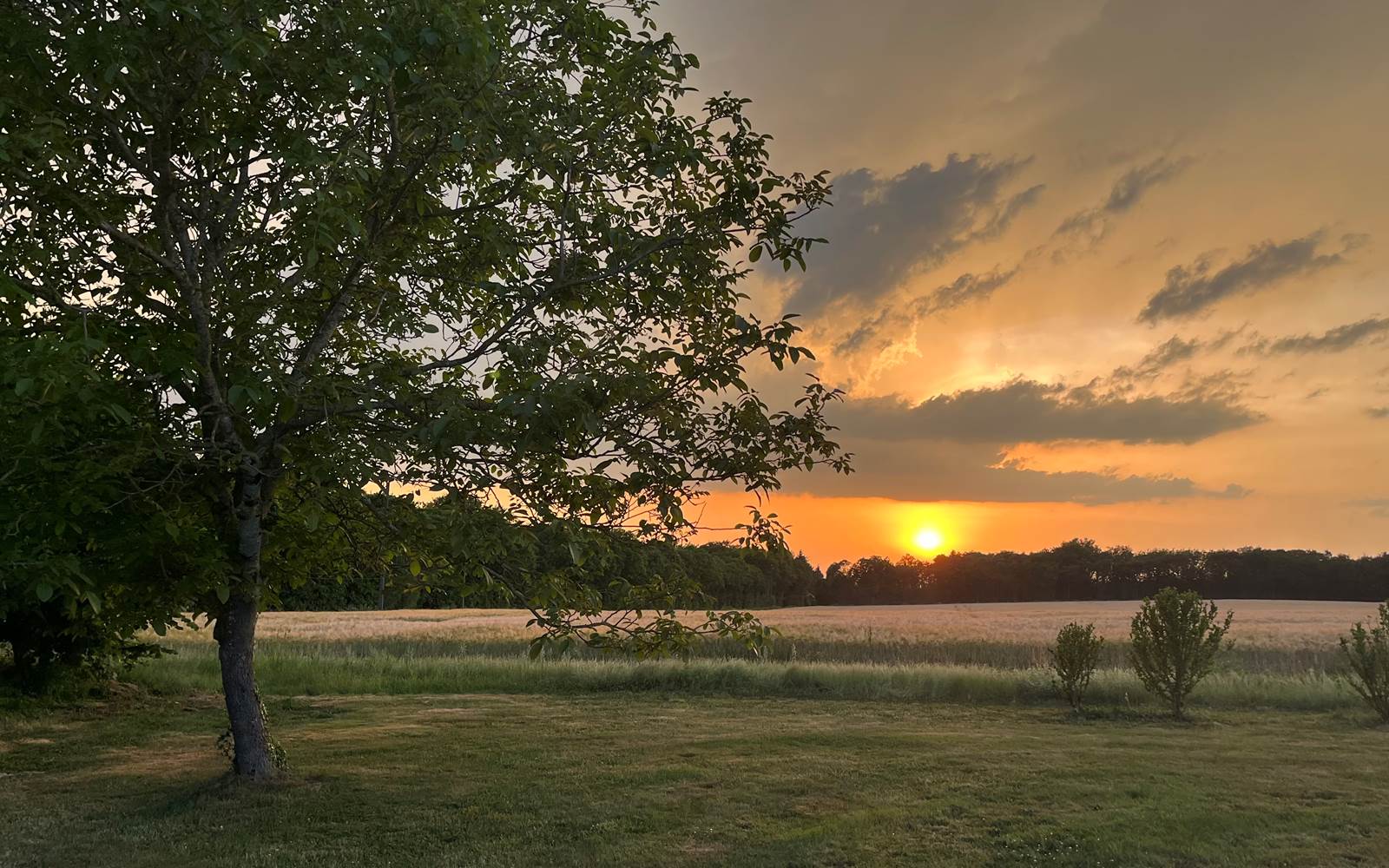 Maison d'hôtes et Gîte Tendance Campagne Coucher de soleil