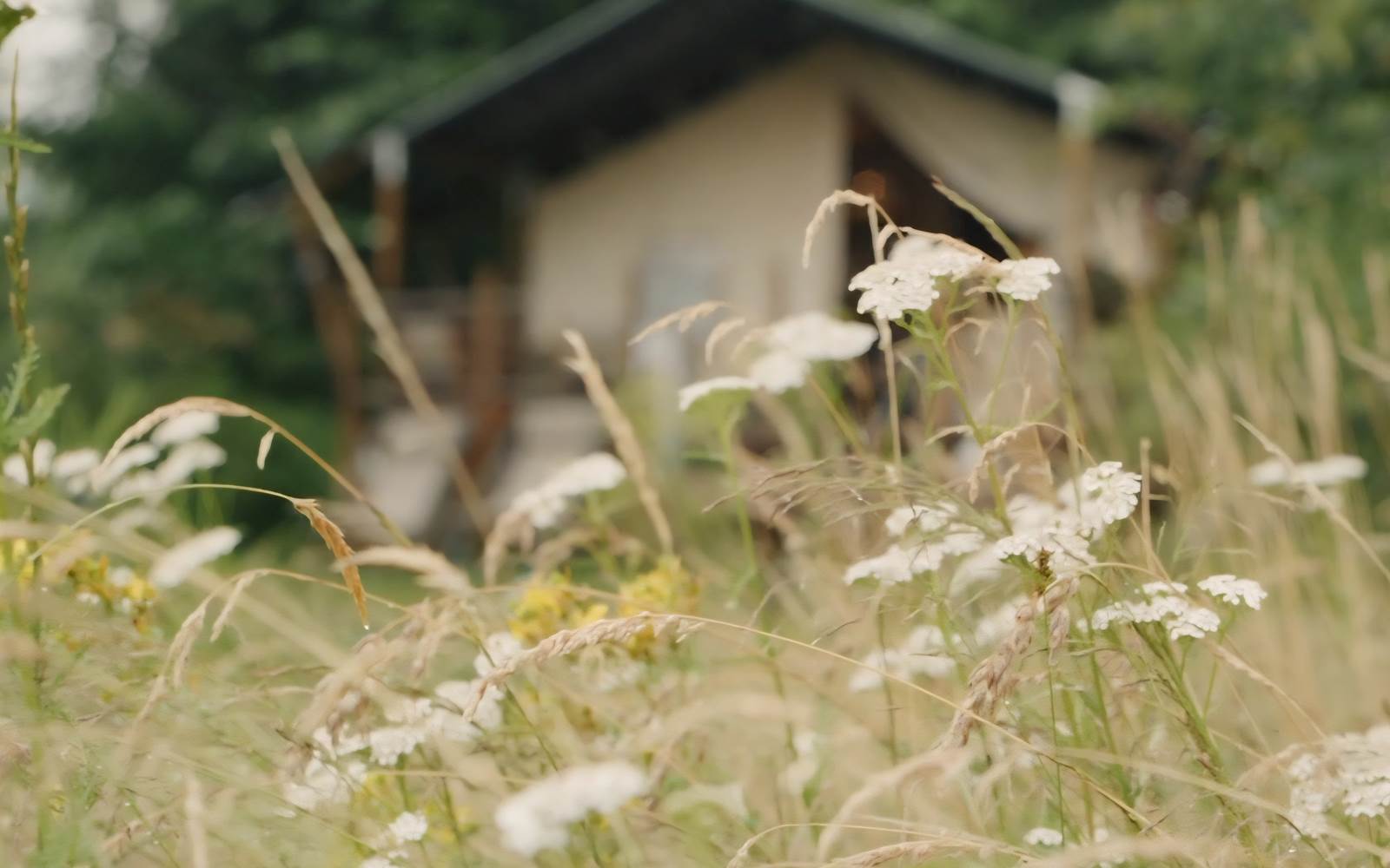 Le Ranch Camping - Tente safari