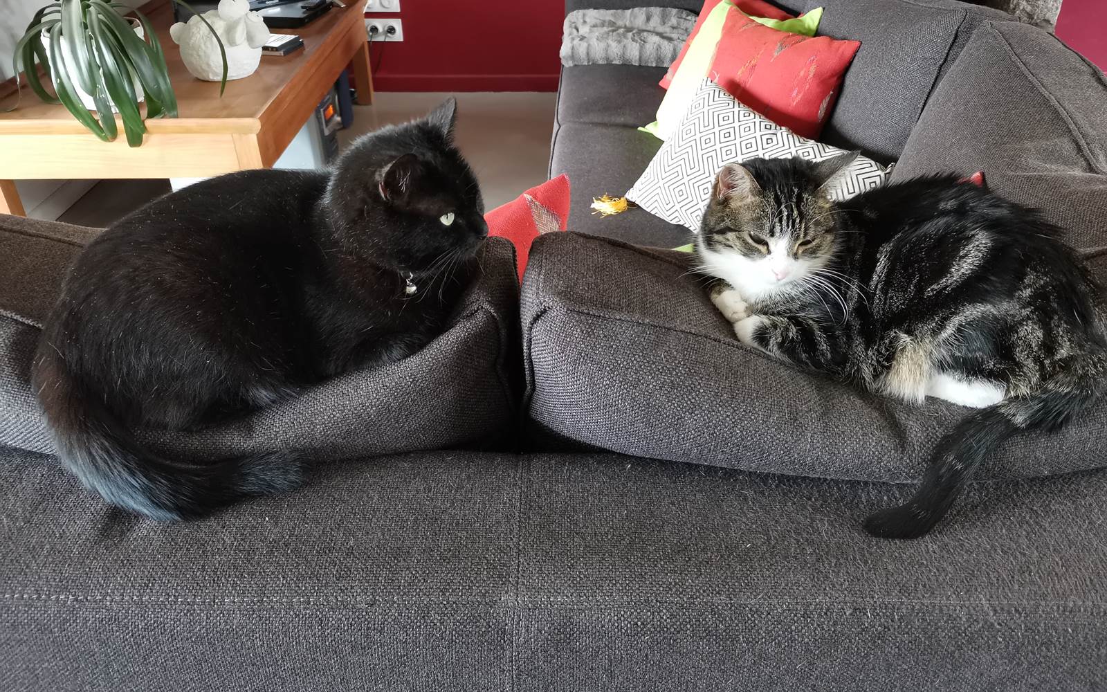 Emma et Caline