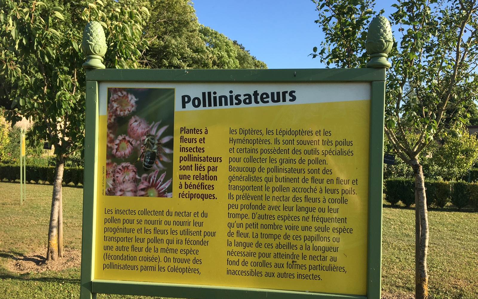 EXPOSITION SUR LA POLLINISATION DANS LES VERGERS