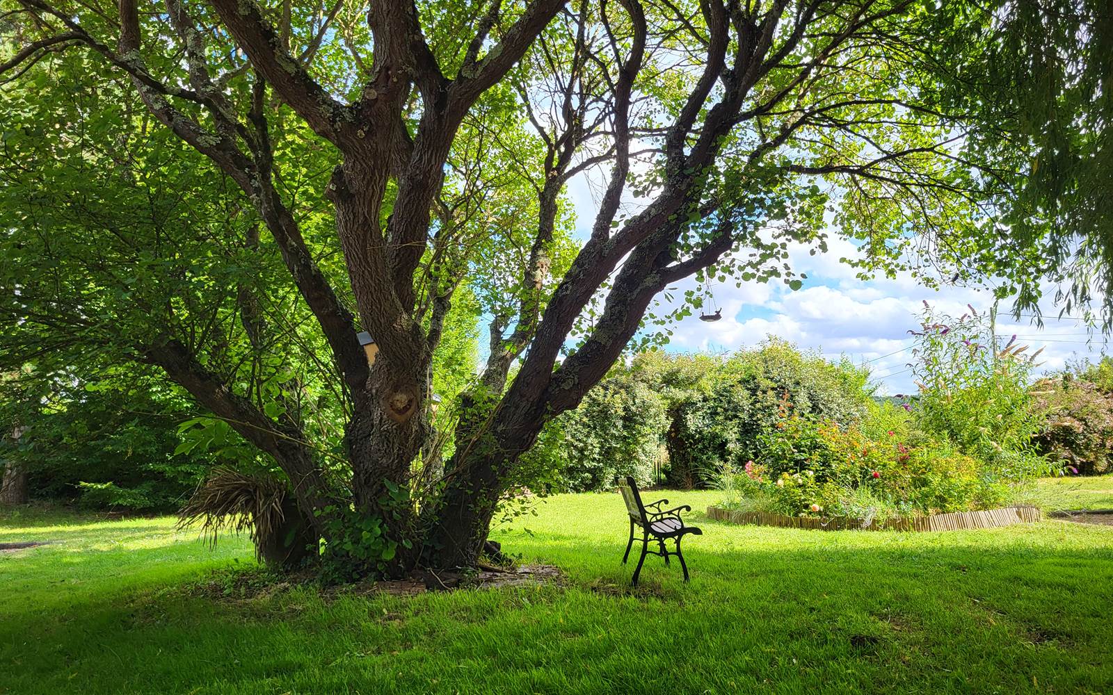 Le jardin