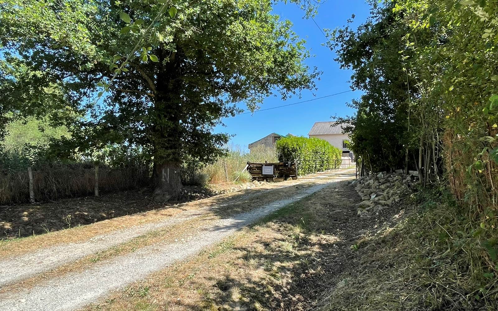 Photo de l'allée d'entrée - Chambres d'hôtes La Grange Richard à Dinsac