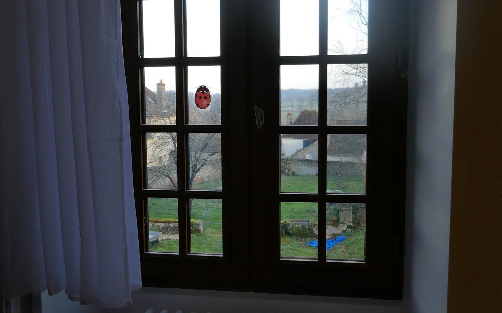 P1030061