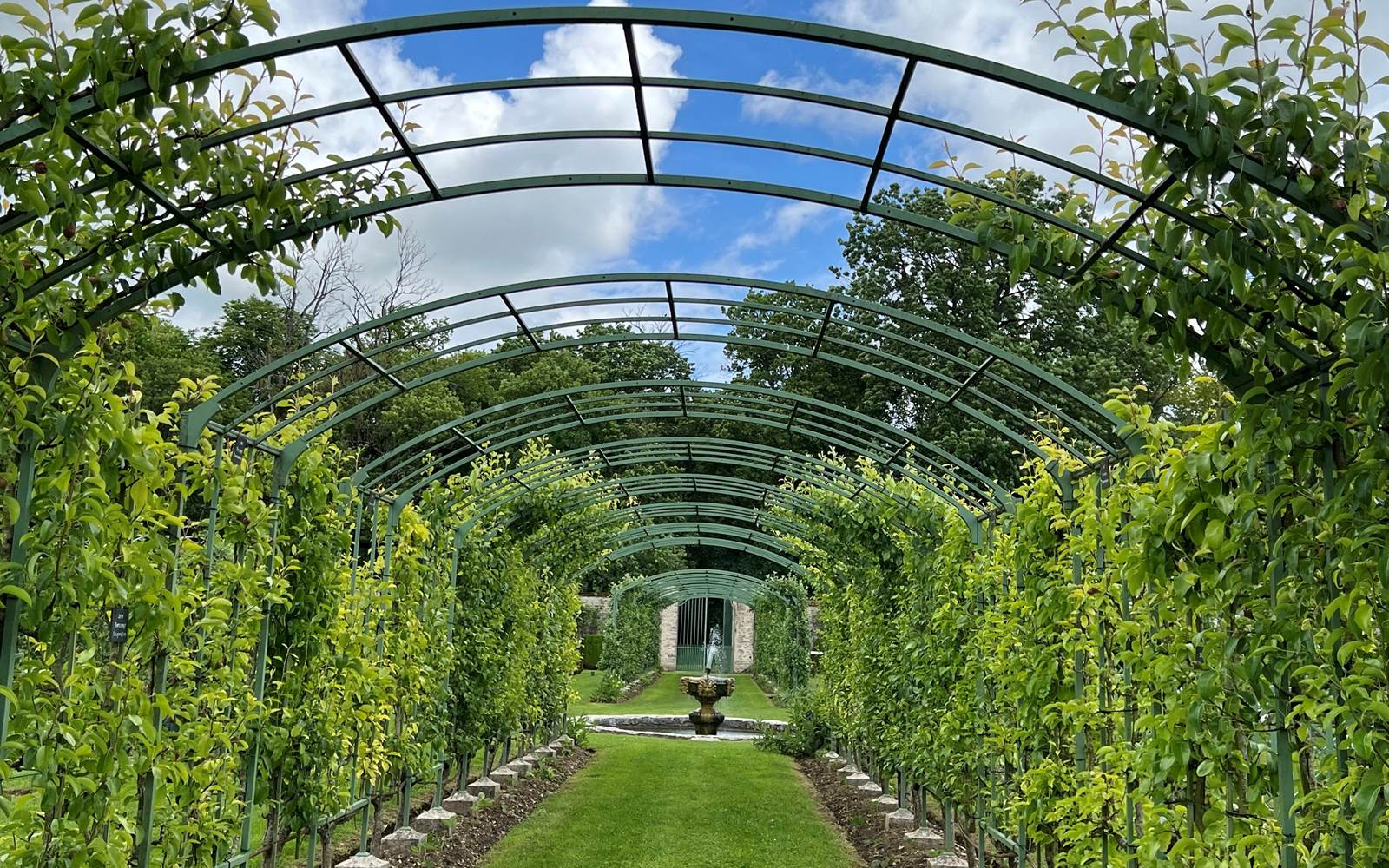 ALLEE CENTRALE DES VERGERS-POTAGERS