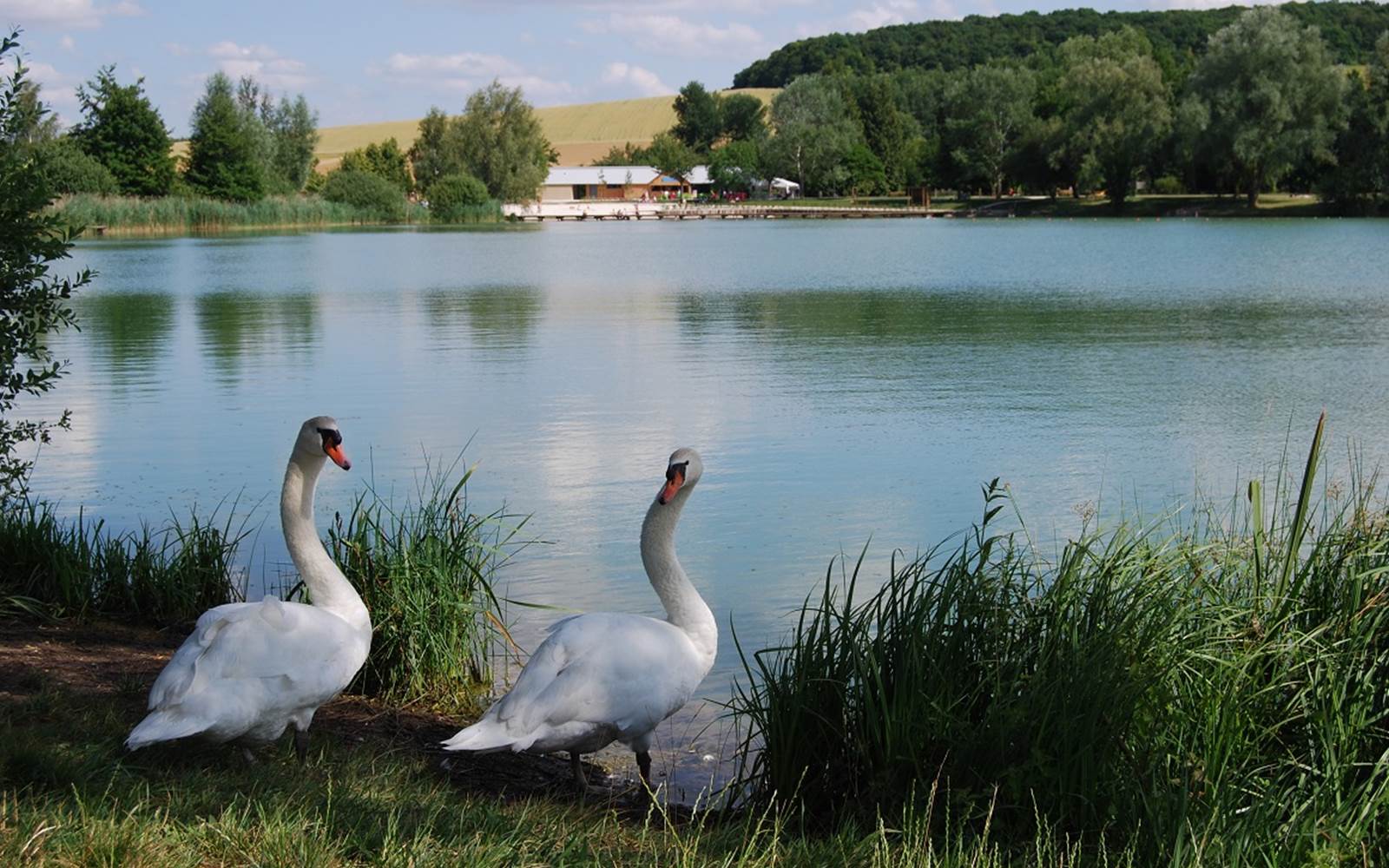 lac de paisy (11)